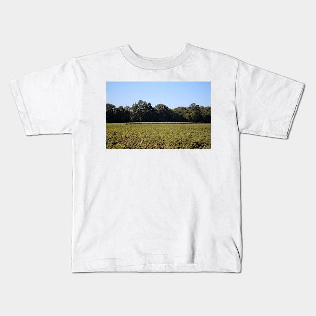 Hay Bales In Field Kids T-Shirt by Cynthia48